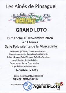 Photo du loto GRAND LOTO des Aînes de Pinsaguel