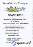 Photo GRAND LOTO des Aînes de Pinsaguel à Pinsaguel