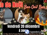 Photo Loto bon oeil bon chat à Mandres-les-Roses