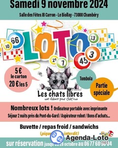 Photo du loto Loto des chats libres de chambery