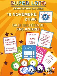 Photo du loto LOTO DOJO Pins-Justaret Villate