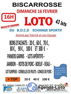 Photo du loto loto du B.O.C.D échange sportif animer Patrick et son équipe