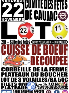 Photo du loto Loto du comite des fêtes