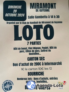 Photo du loto Loto du Handball