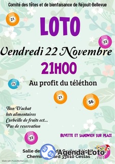 Photo du loto Loto du telethon