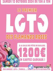 Photo du loto Loto des flamands roses