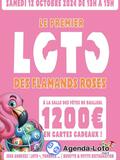 Loto des flamands roses