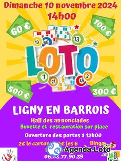 Photo du loto Loto de l'Association 'Les Parents d'Hugo'