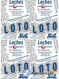 Photo Loto de la SVL à Loches