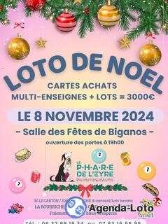 Photo du loto Loto de Noël