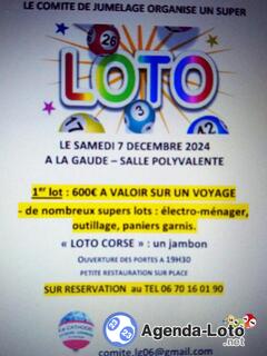 Photo du loto Loto de noel