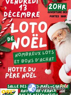 Photo du loto Loto de Noël