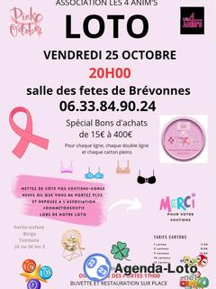 Photo du loto Loto octobre rose