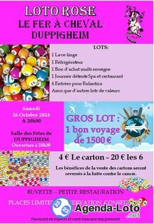 Photo du loto Loto Rose