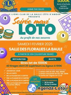 Photo du loto Maxi loto cdd lions la baule côte d'amour