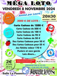 Photo du loto Mega loto fcop football club pays de l 'ouin