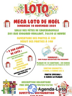 Photo du loto Méga Loto de Noël