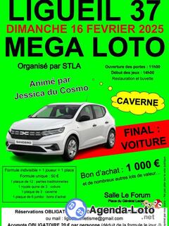 Photo du loto Mega loto stla anime par jessica du cosmo