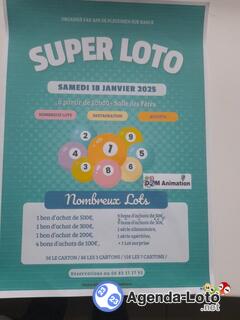 Photo du loto Super Loto de Ape Pleudihen animé: Dom Animation