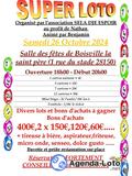 Photo Super loto au profit de nathan à Boisville-la-Saint-Père