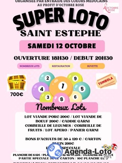 Photo du loto Super loto octobre rose