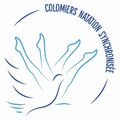 COlomiersNatSynchro